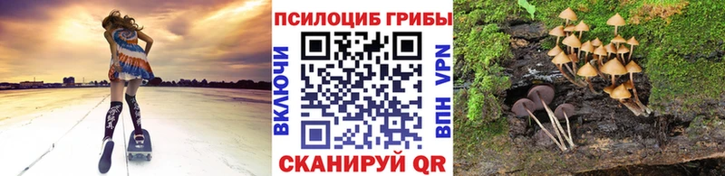 Псилоцибиновые грибы мицелий Сольцы